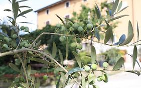 B&B Al Frantoio