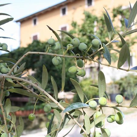 B&B Al Frantoio Chiusi Esterno foto